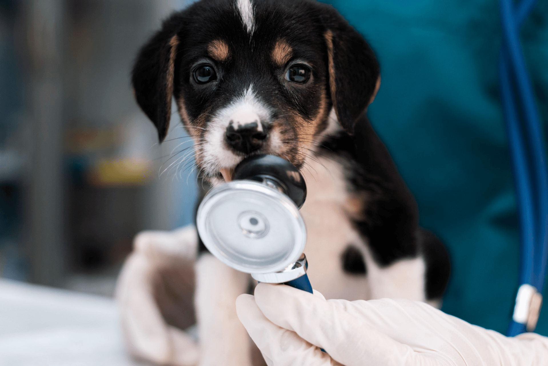 Intervención quirúrgica