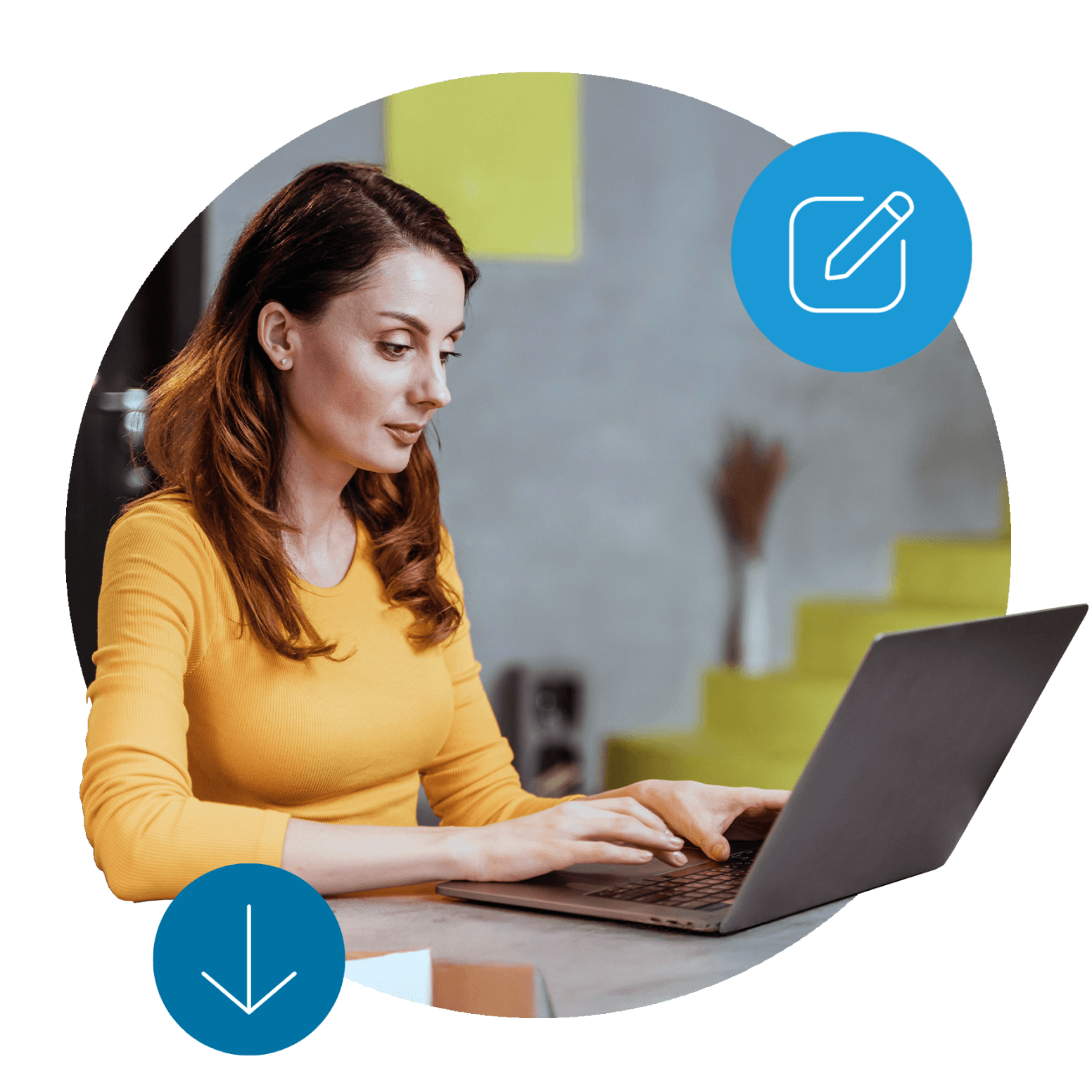 Programa de incentivos